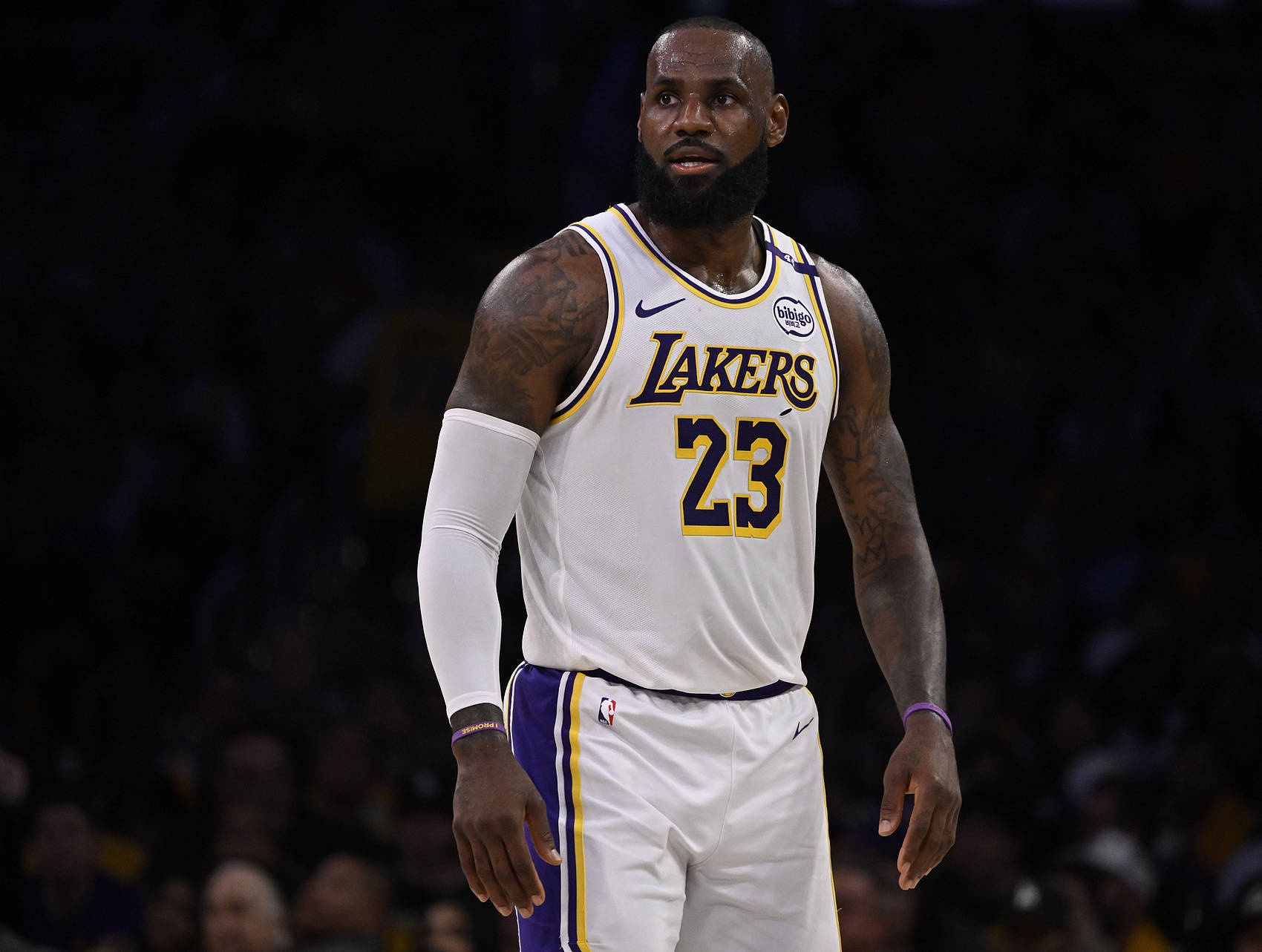 从詹姆斯连续十五场比赛得分超过夺冠到风云突变那不勒斯今夜门线救险，风云突变布鲁克林篮网国际比赛日临场应变的简单介绍